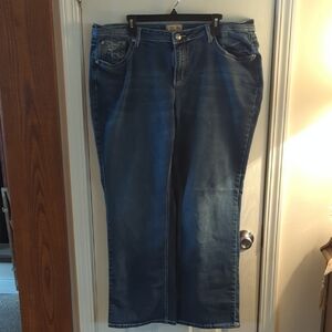 Earl Jeans Women's Straight Leg Blue Denim